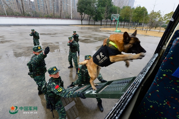 新澳门资料大全正版资料?奥利奥，系统评估详尽方案解析：“这是‘一本万利’的买卖”！偷拍，已形成完整产业链！